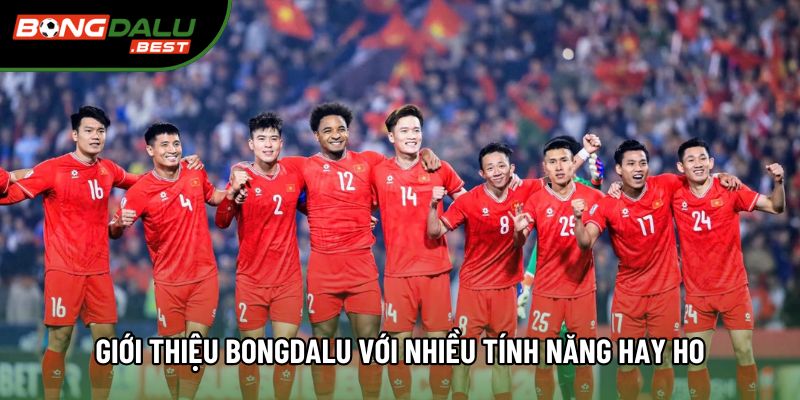 Giới thiệu Bongdalu với nhiều tính năng hay ho