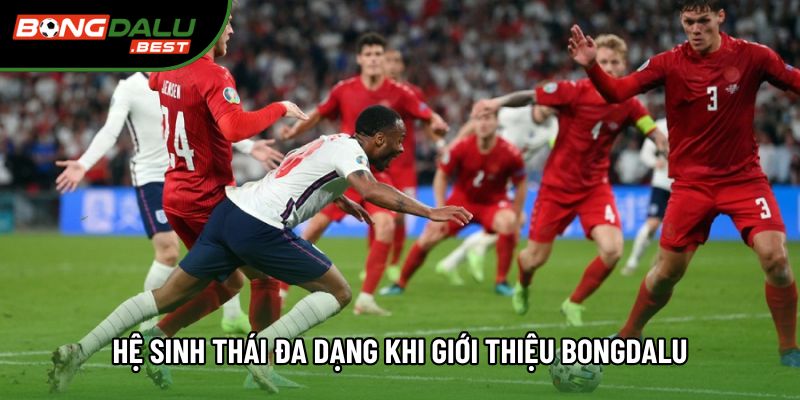 Hệ sinh thái đa dạng khi giới thiệu Bongdalu