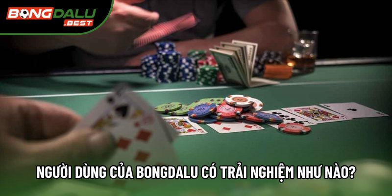Người dùng của Bongdalu có trải nghiệm như nào? Người dùng của Bongdalu có trải nghiệm như nào?