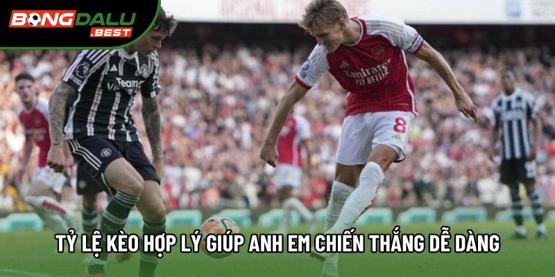 Tỷ lệ kèo hợp lý giúp anh em chiến thắng dễ dàng Tỷ lệ kèo hợp lý giúp anh em chiến thắng dễ dàng